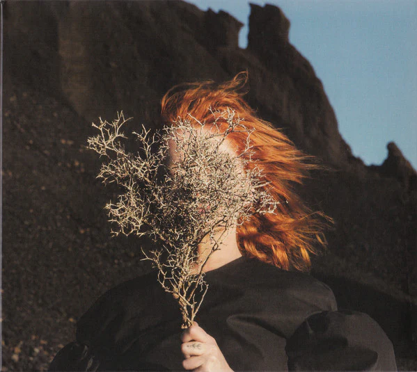 Goldfrapp ‎ - Silver Eye (CD)