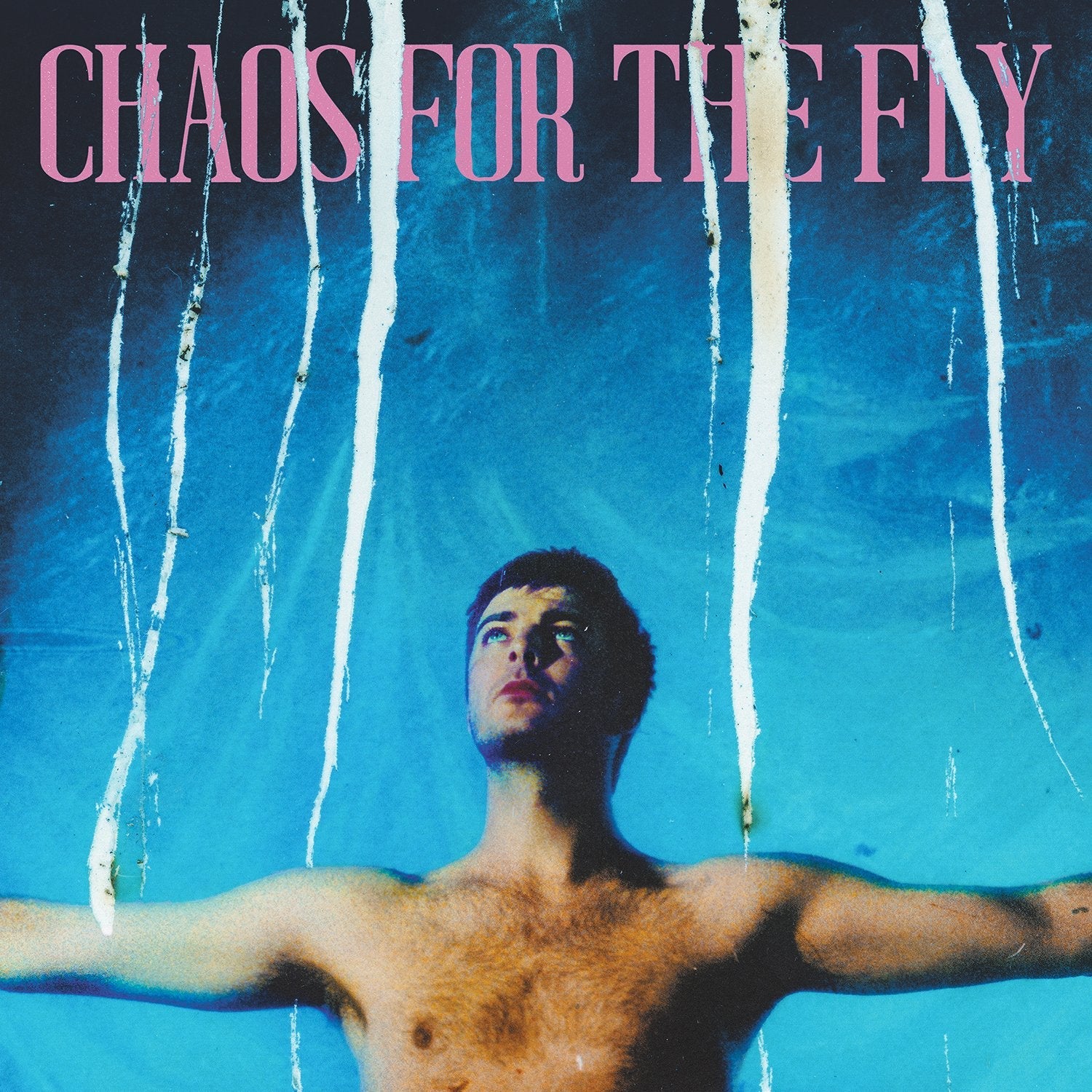 Grian Chatten - Chaos For The Fly (LP) - Image 2