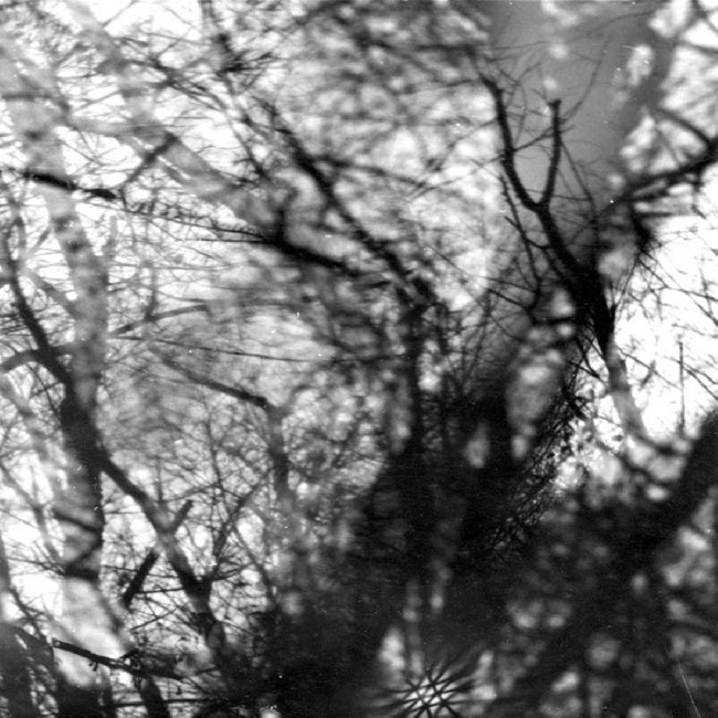 Grouper - Way Their Crept (LP)