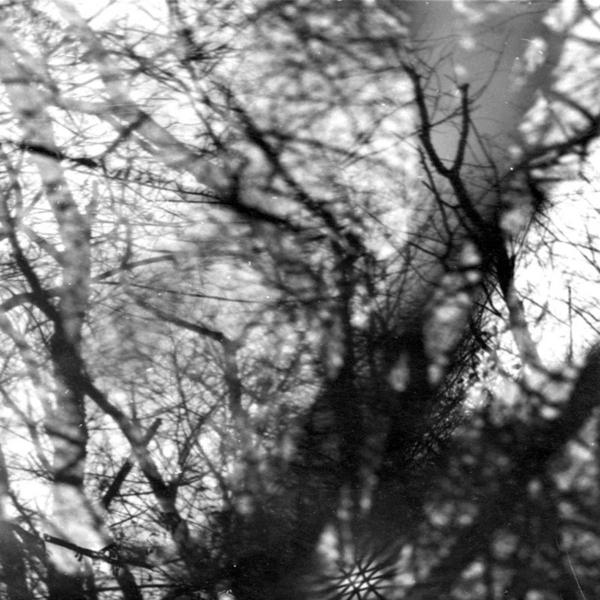 Grouper - Way Their Crept (LP) - Image 2