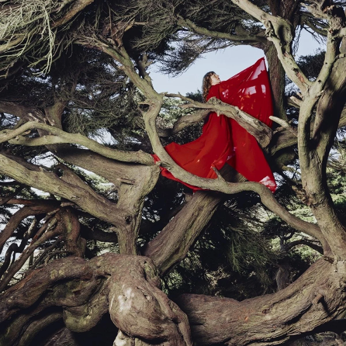Hannah Frances - Nested In Tangles (Ruby Red Vinyl LP) - Image 2