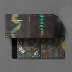 Heath - Isaak's Marble (LP) - Image 2