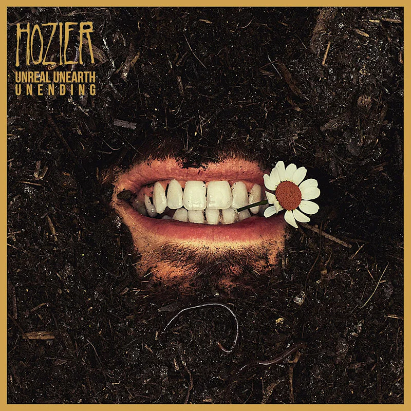 Hozier - Unreal Unearth: Unending (LP) - Image 2