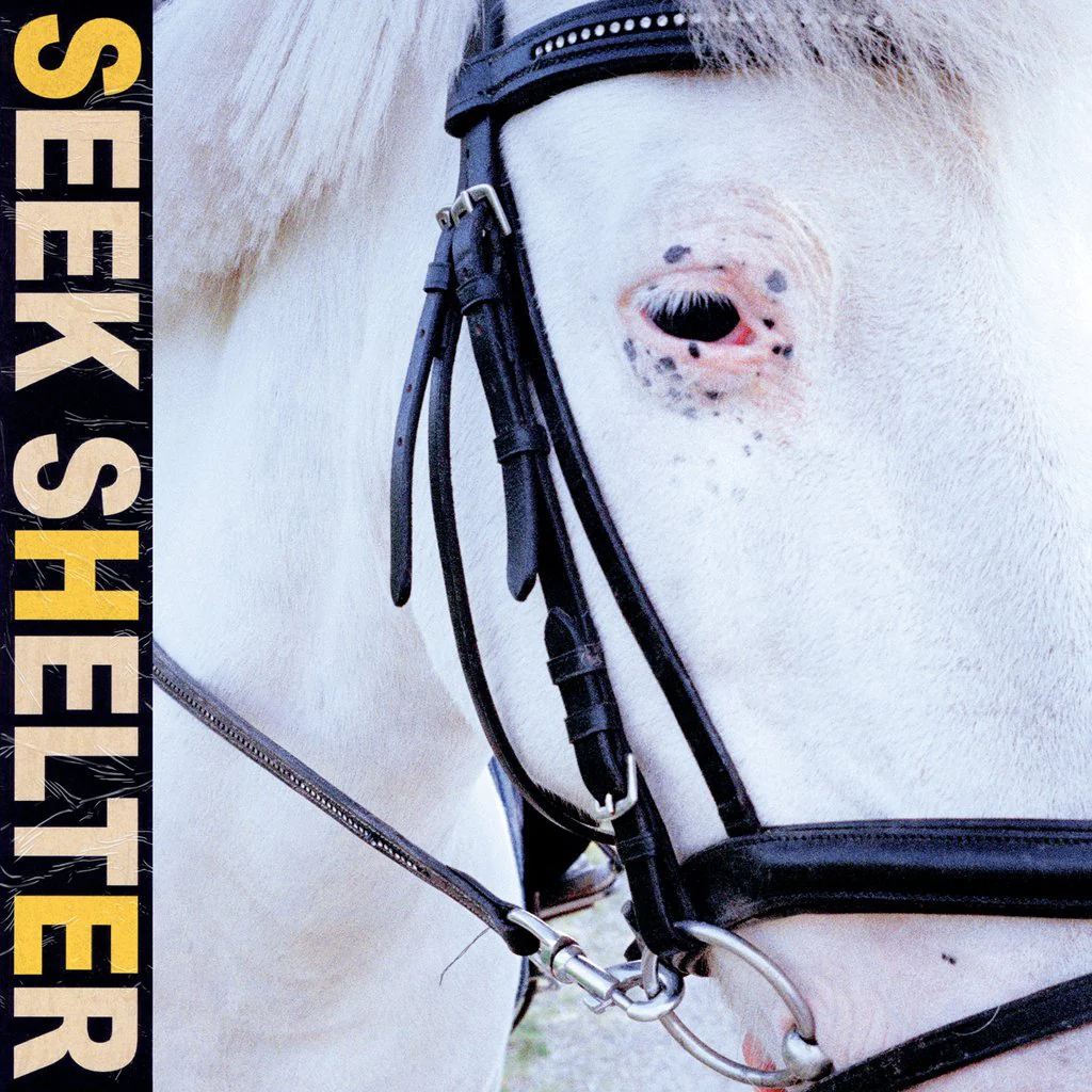 Iceage - Seek Shelter (Transparent Orange)