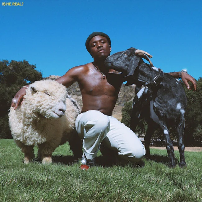 IDK - IS HE REAL? (LP)