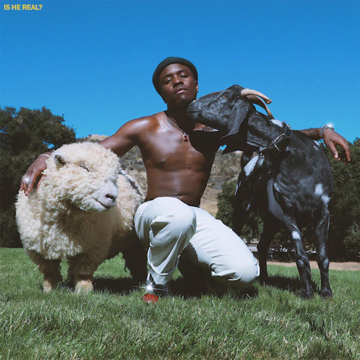 IDK - IS HE REAL? (LP) - Image 2