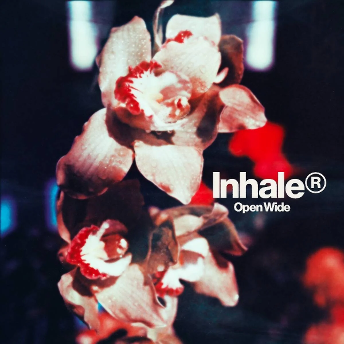 Inhaler - Open Wide (LP) - Image 3