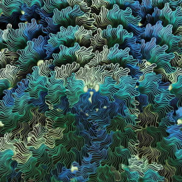 IzangoMa - Ngo Ma (LP)