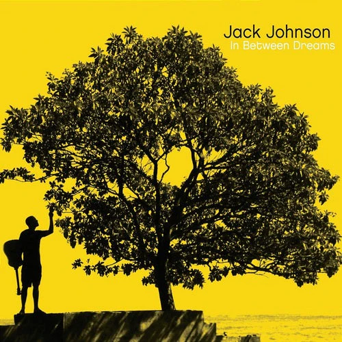 Jack Johnson - In Between Dreams (LP) - Image 2