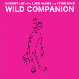 Jacknife Lee Meets Luke Haines And Peter Buck - Wild Companion