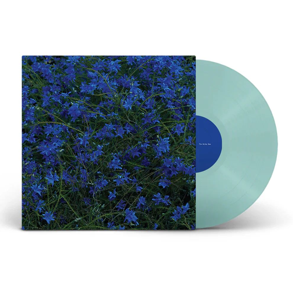 Jefre Cantu-ledesma - Gift Songs (Blue Vinyl LP) - Image 2