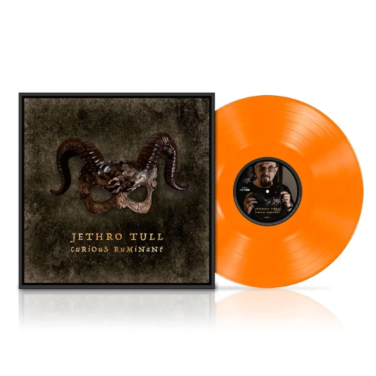 Jethro Tull - Curious Ruminant (Orange Coloured LP)