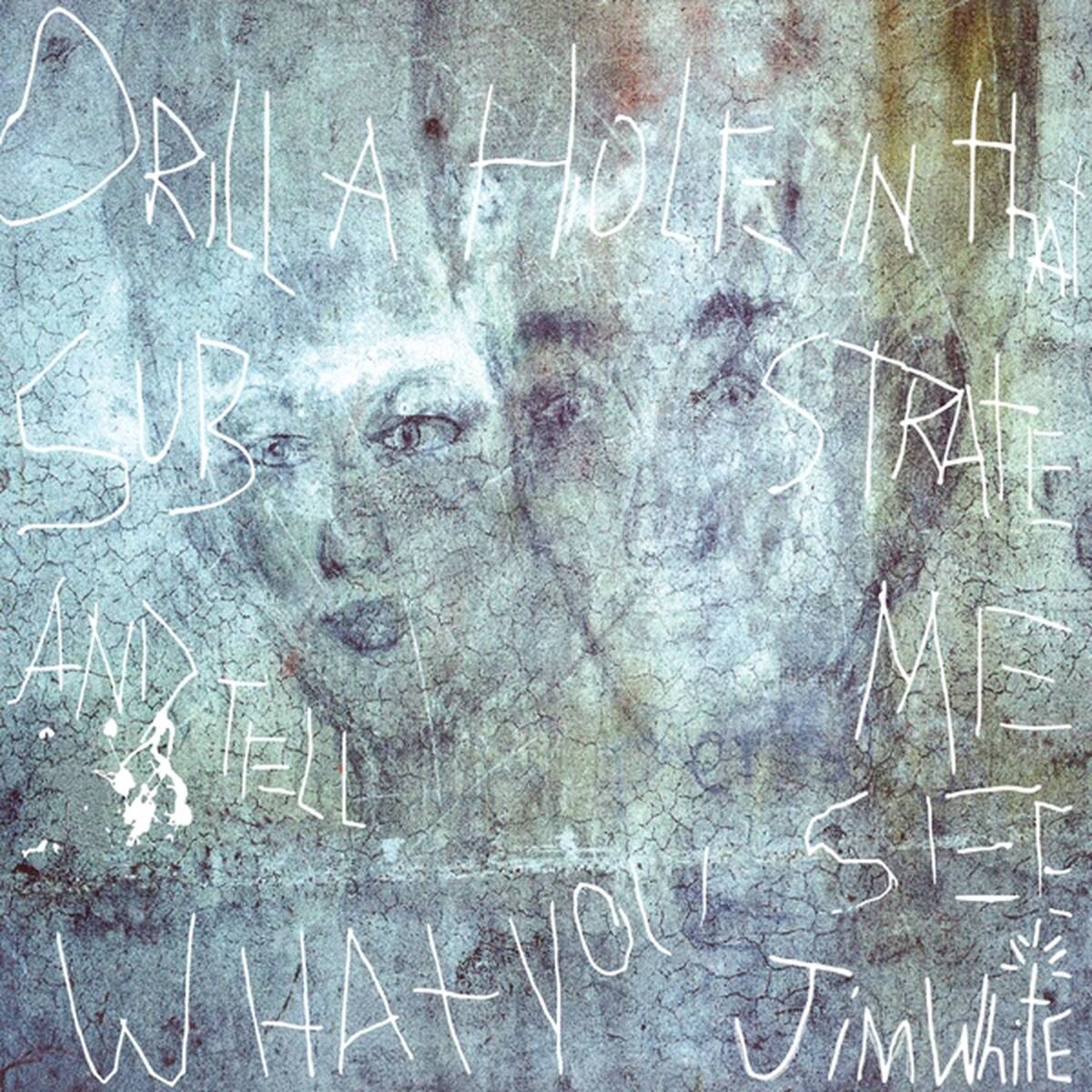 Jim White - Drill a Hole In That Substrate and Tell Me What You See (LP) - Image 2