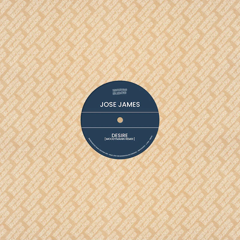 Jose James & Ben Westbeech - Brownswood recordings remix edition 005 (12")
