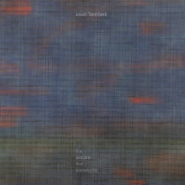 Josiah Steinbeck - For Anyone That Knows You (LP)