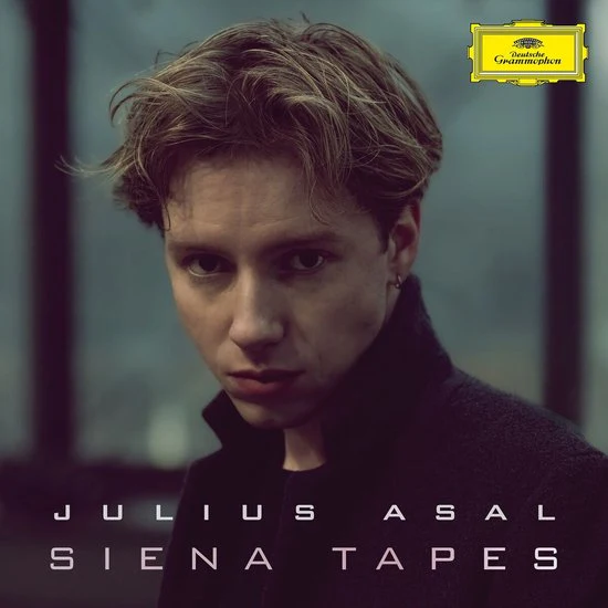Julius Asal - Siena Tapes (LP) - Image 2