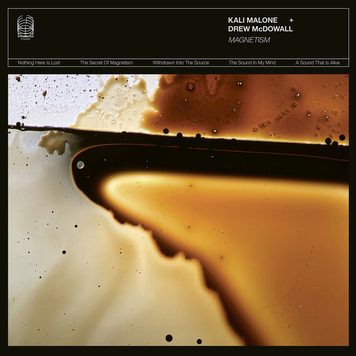 Kali Malone & Drew Mcdowall - Magnetism (LP) - Image 2