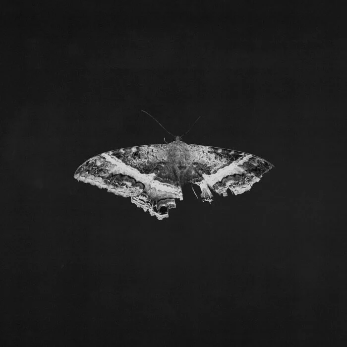 Kendrick Lamar - To Pimp A Butterfly (10th Anniversary) – Alternative Cover (LP)