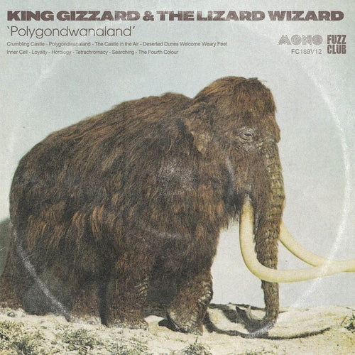 King Gizzard & The Lizard Wizard - Polygondwanaland (Mono)