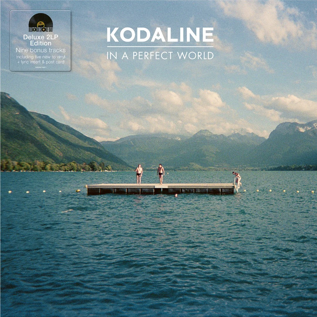 Kodaline - In A Perfect World (Black Vinyl LP) - Image 2