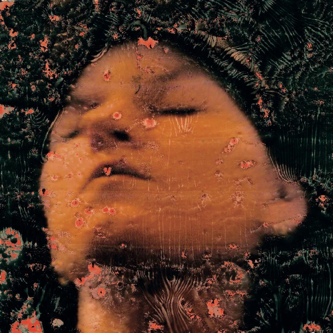 La Loye - sweet dreams, see you tomorrow (LP)