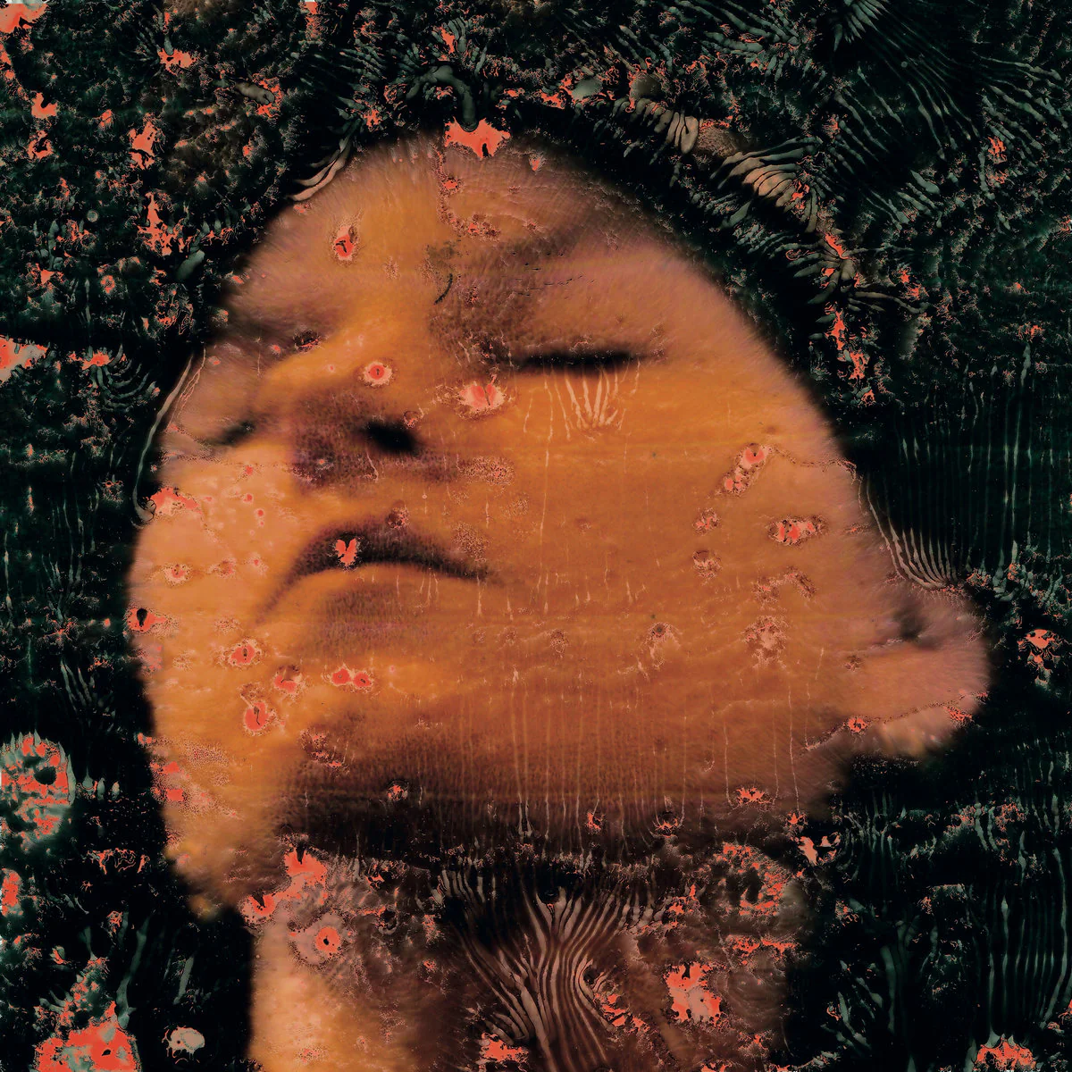 La Loye - sweet dreams, see you tomorrow (LP) - Image 2