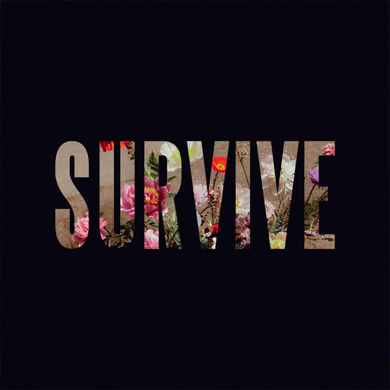 Lewis Capaldi - Survive EP (Clear Vinyl 12") - Image 2