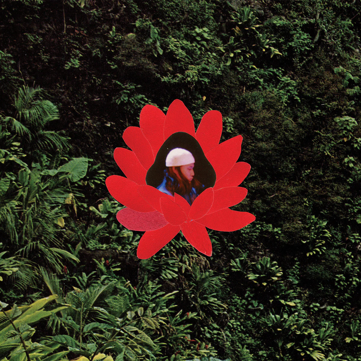 Lionmilk - When The Flowers Bloom (LP) - Image 2