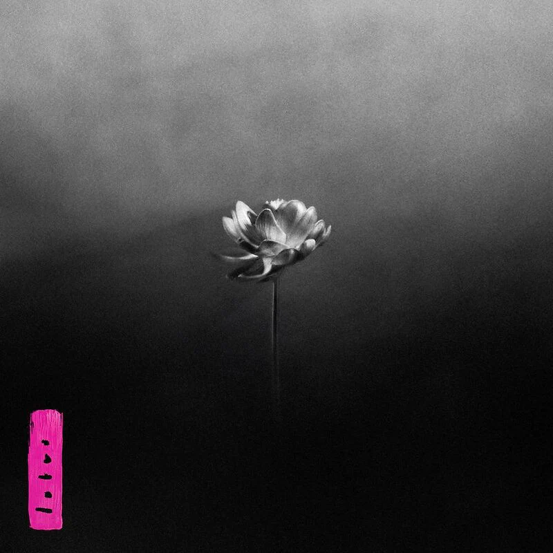 Little Simz - Lotus (Electric Pink Coloured LP) - Image 2