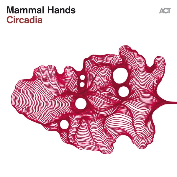 Mammal Hands - Circadia (White Vinyl LP) - Image 2