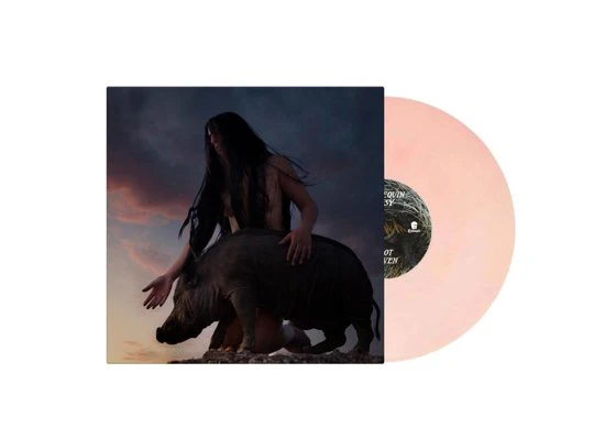 Mannequin Pussy - I Got Heaven (Coloured Vinyl LP) - Image 2