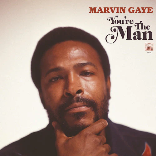 Marvin Gaye - You're The Man (LP) - Image 2