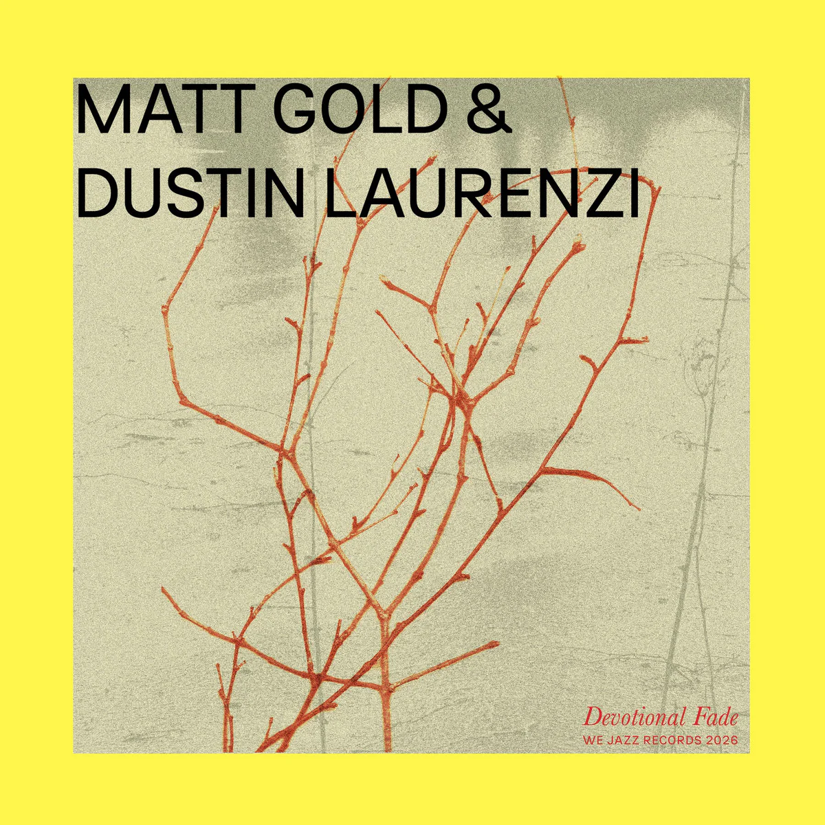 Matt Gold & Dustin Laurenzi - Devotional Fade (LP) - Image 2
