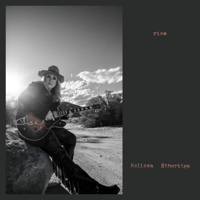 Melissa Etheridge - Rise (Marbled Vinyl LP)