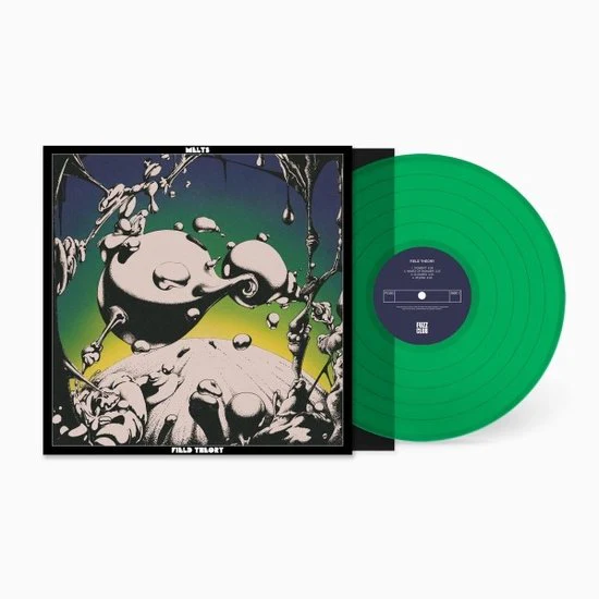 Melts - Field Theory (LP) - Image 2
