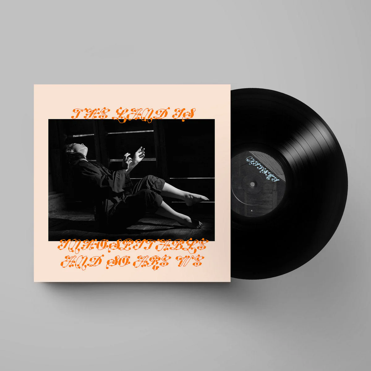 Mitski - The Land Is Inhospitable and So Are We (LP) - Image 2