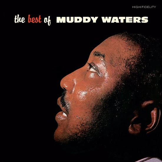 Muddy Waters - The best of Muddy Waters (Coloured Vinyl LP) - Image 2