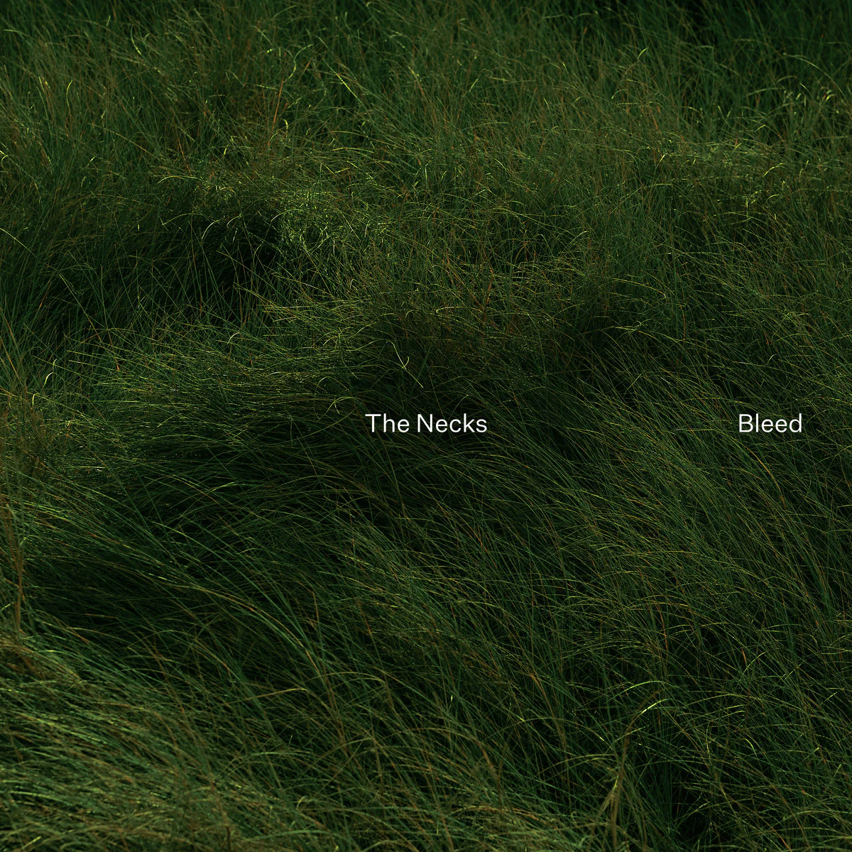 Necks - Bleed (LP)