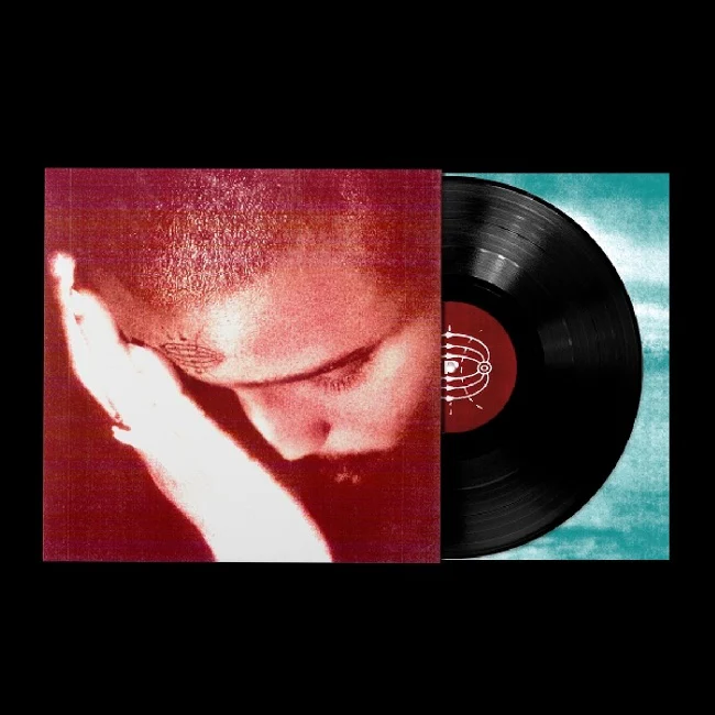 Nourished By Time - The Passionate Ones (LP)