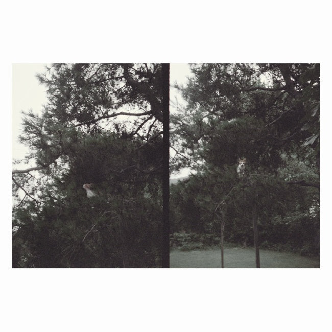 Okkyung Lee - just like any other day (LP)