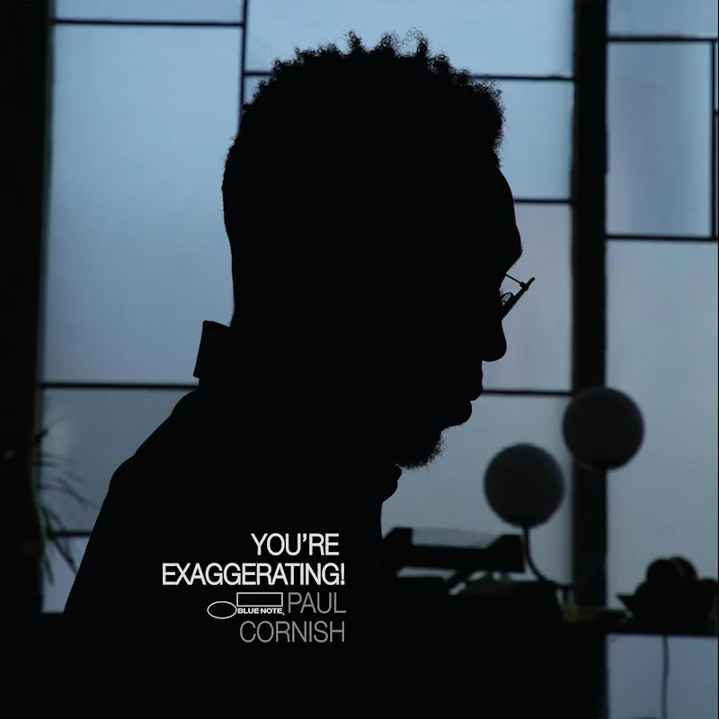 Paul Cornish - You're Exaggerating! (LP) - Image 2