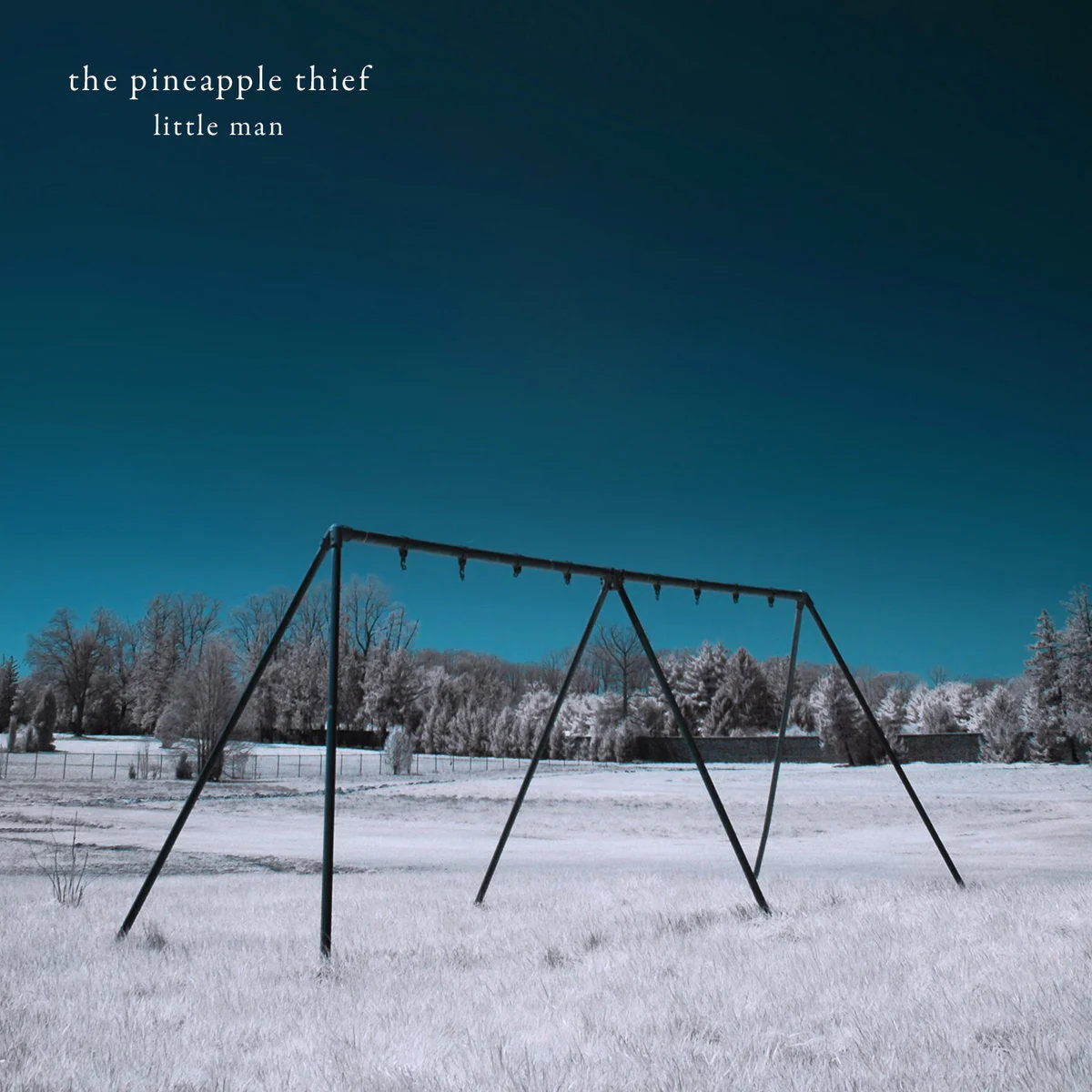 Pineapple Thief - Little Man (LP) - Image 2