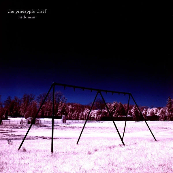 Pineapple Thief - Little Man (LP) - Image 2