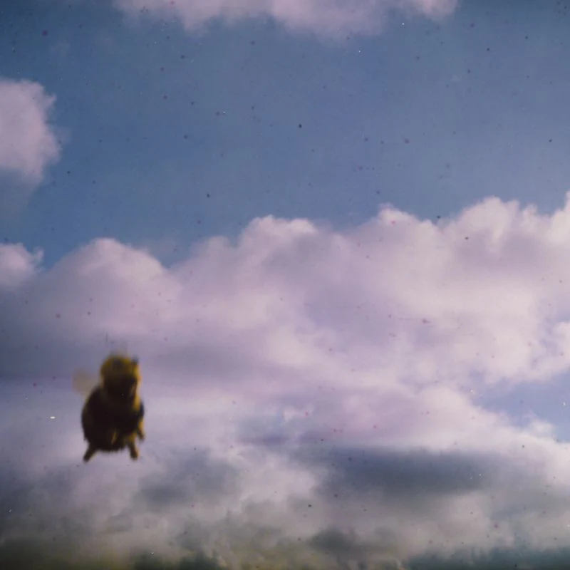 Pond - Stung! (Splatter Bee LP) - Image 3