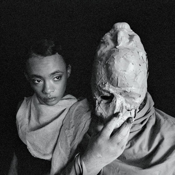 Protomartyr - Formal Growth In the Desert (LP) - Image 3