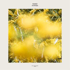 Ramzi - Hyphea (LP) - Image 2
