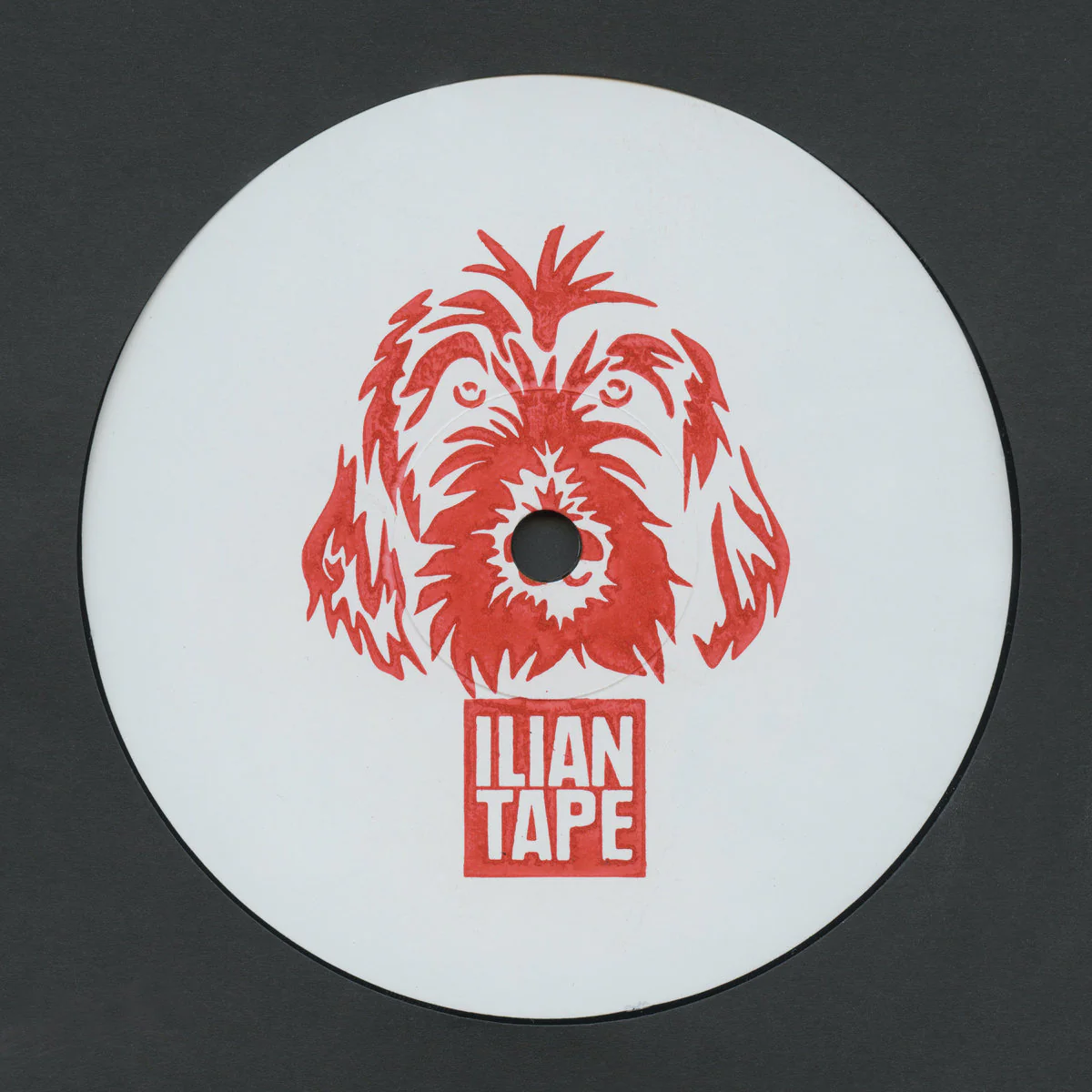 re:ni & BiggaBush - Bass Is The Space (12")
