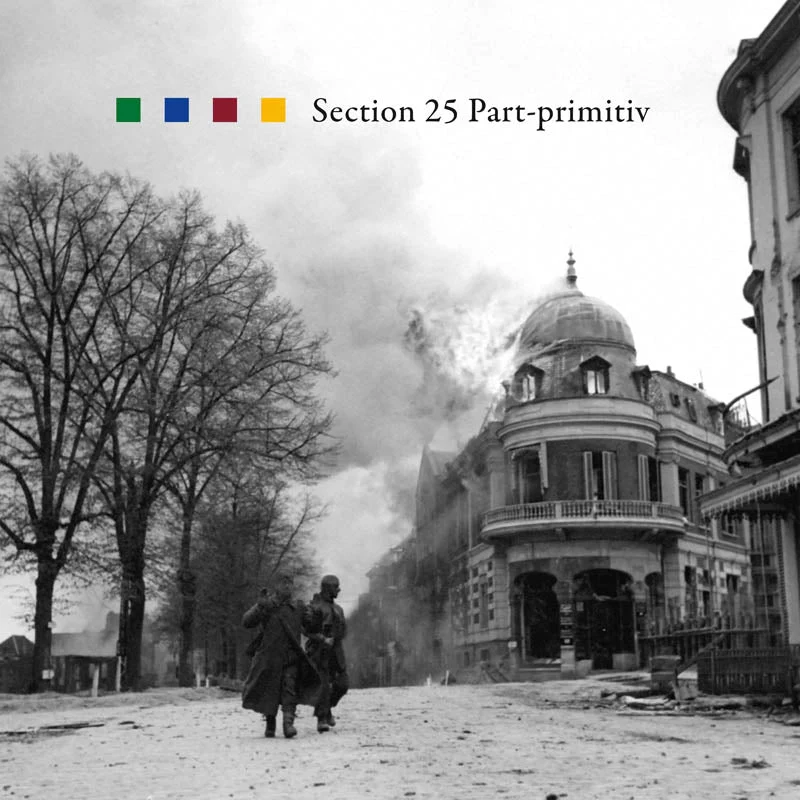 Section 25 - Part-primitiv (180 Gram LP) - Image 2
