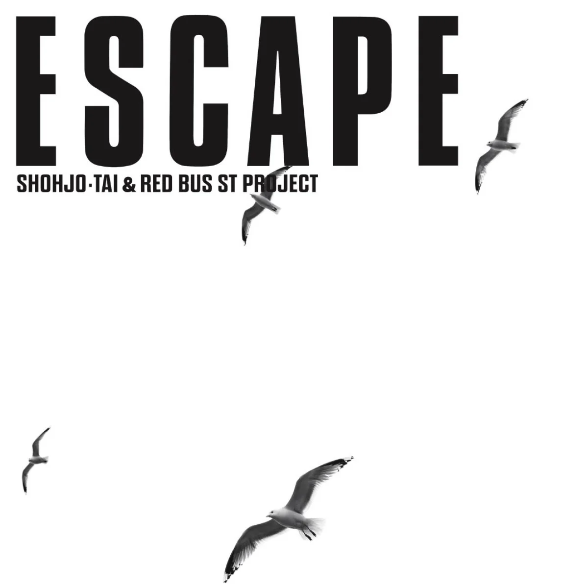 Shohjo-Tai, Red Bus St Project - Escape