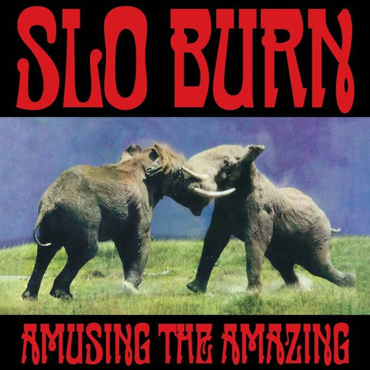 Slo Burn - Amusing The Amazing (LP) - Image 2